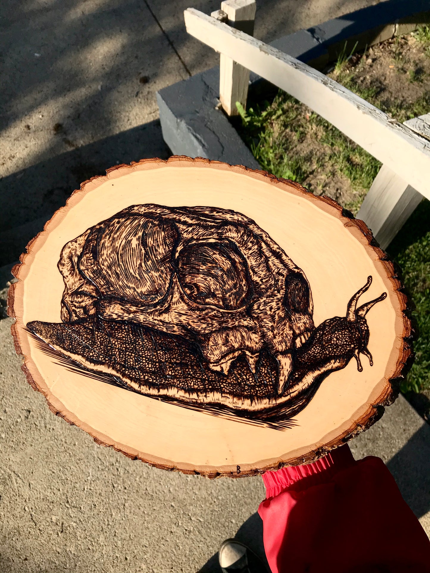 'Bobcat-Skull Snail' Woodburning