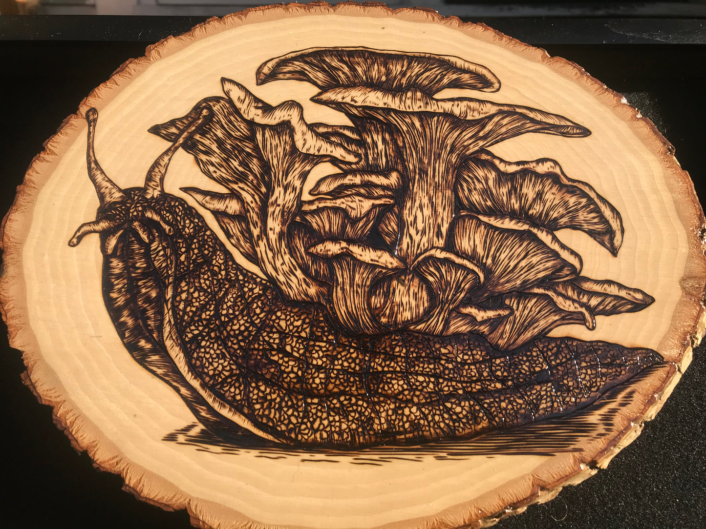 'Oyster Mushroom Snail' Woodburning