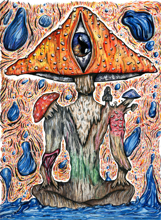 'A Fun Guy' art print