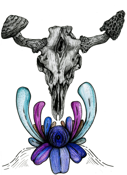 'Fungal Moose Skull' art print