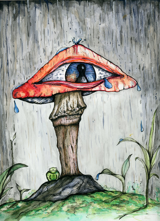 'Frog Safe from the Storm' art print