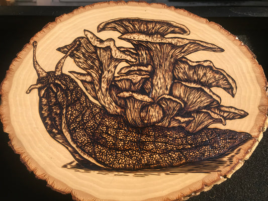 'Oyster Mushroom Snail' Woodburning