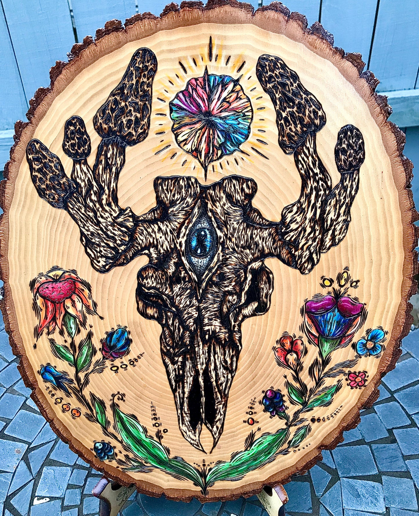 'Morel Moose Skull' Woodburning