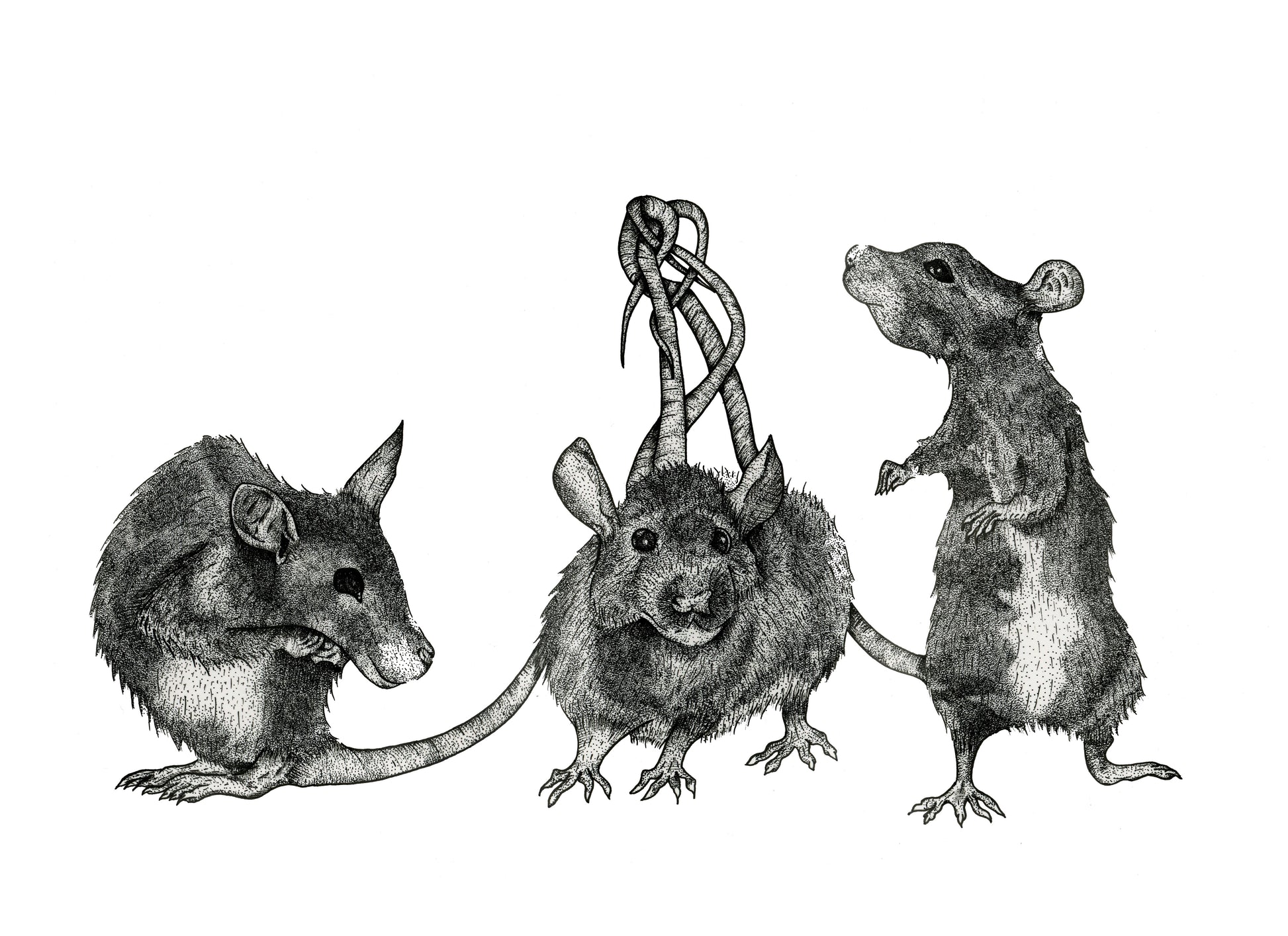 Rat King art print