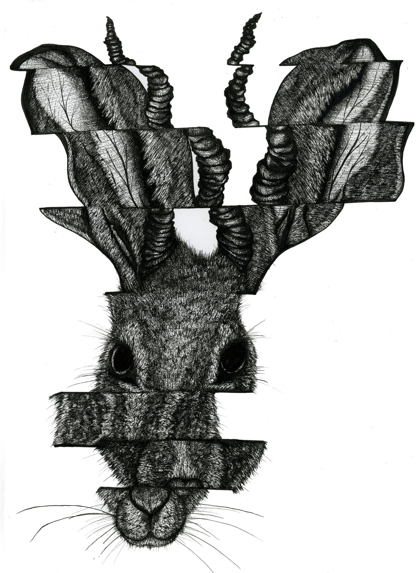 'Fragmented Jackalope' art print