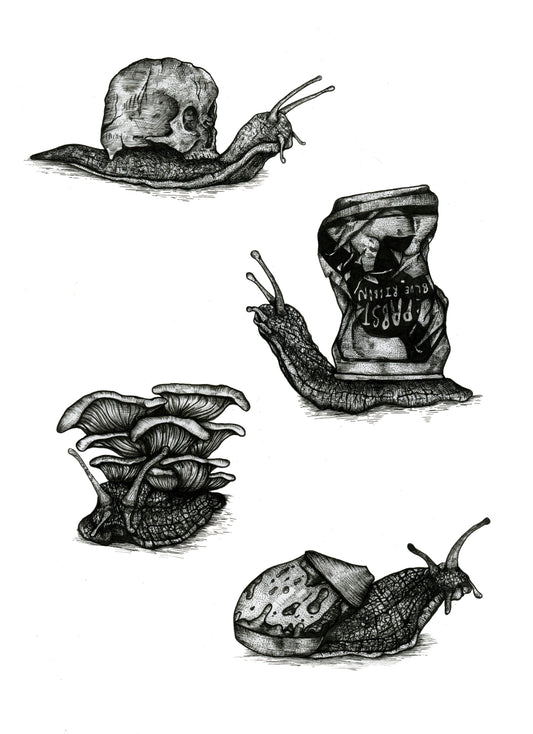 'Surreal Snails' art print